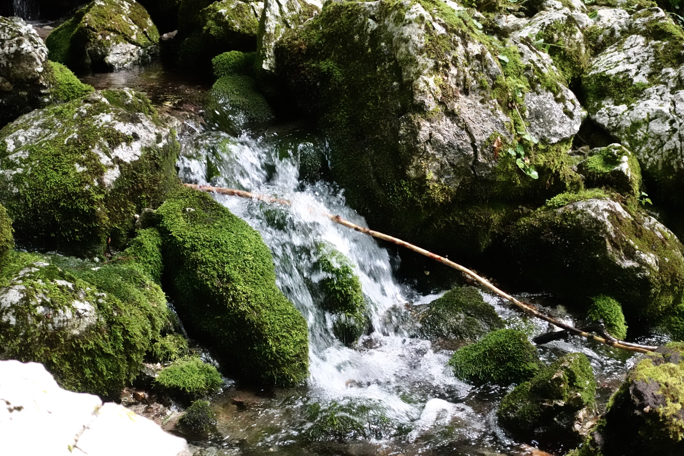 Bachlauf Abstieg nach Jachenau