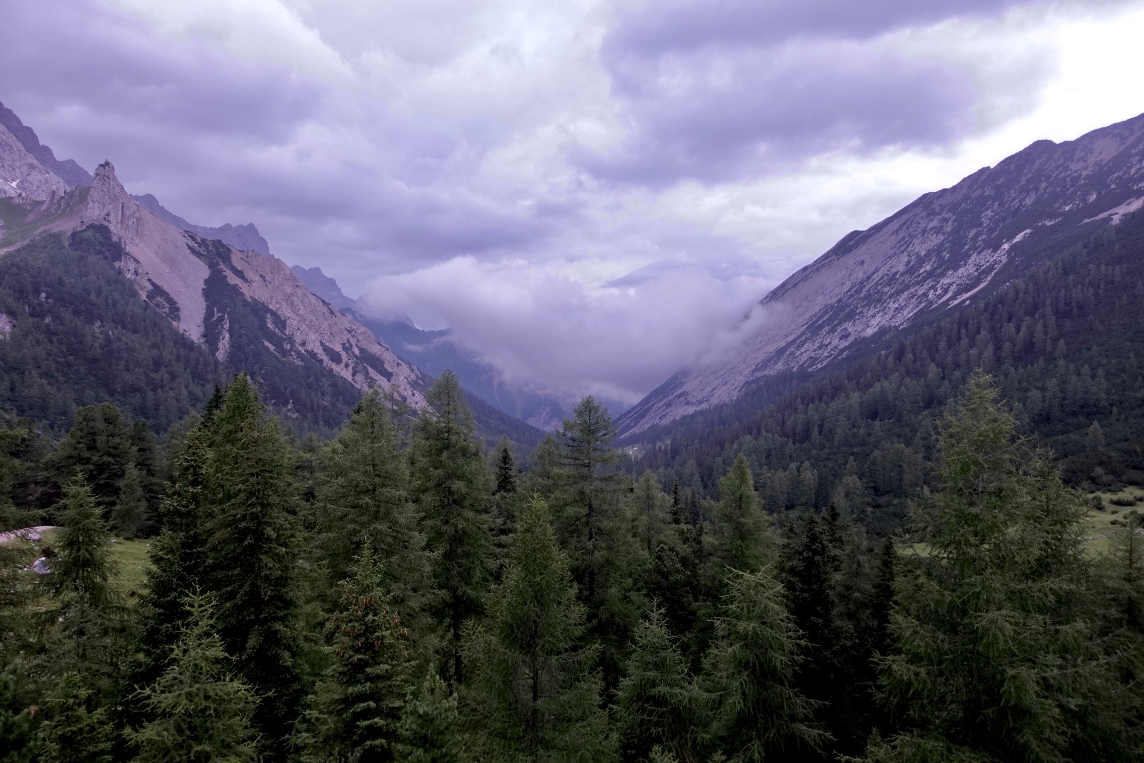 Blick ins Tal vom Hallerangerhaus