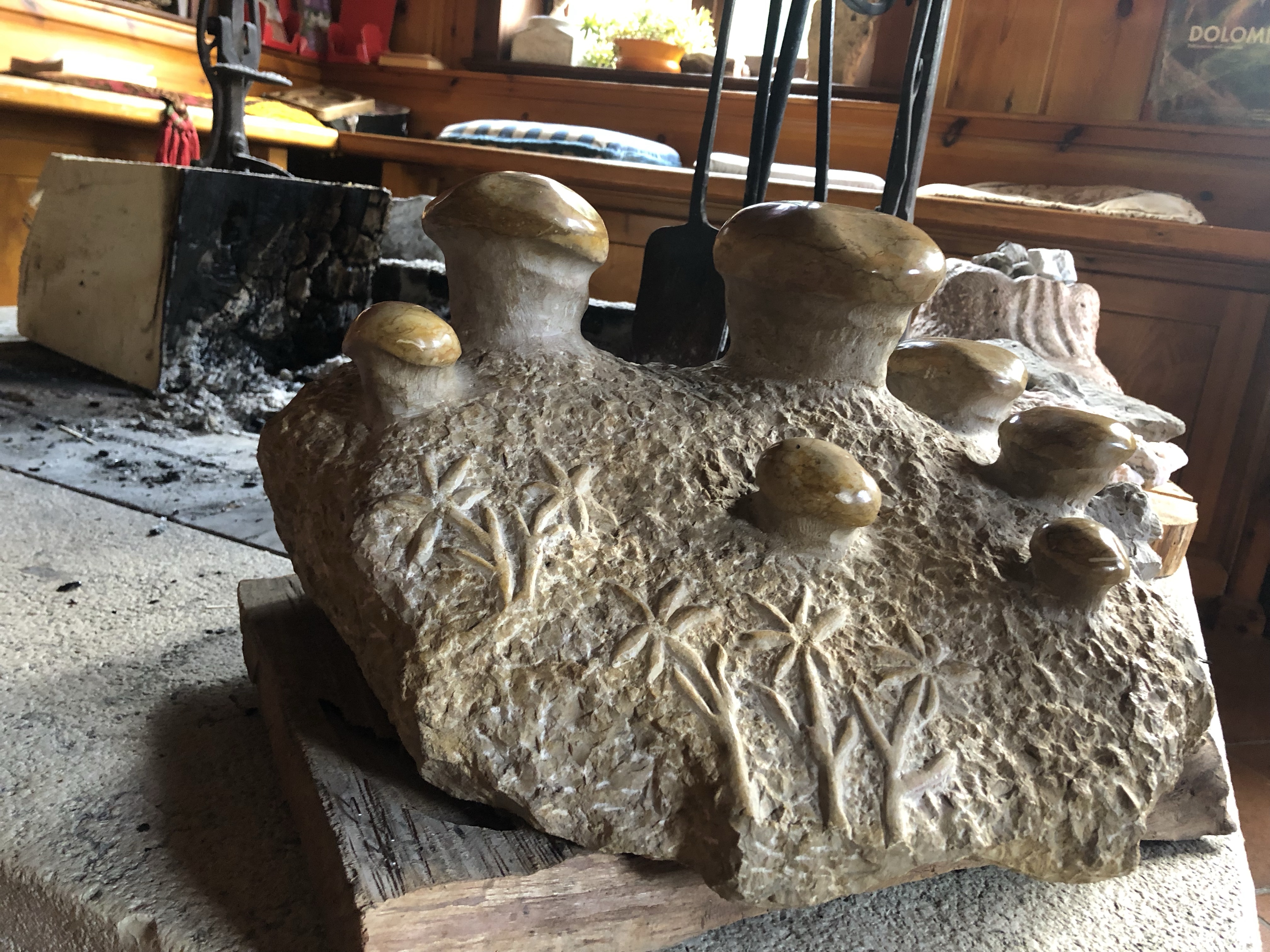 Steinpilz Rifugio San Sebastiano