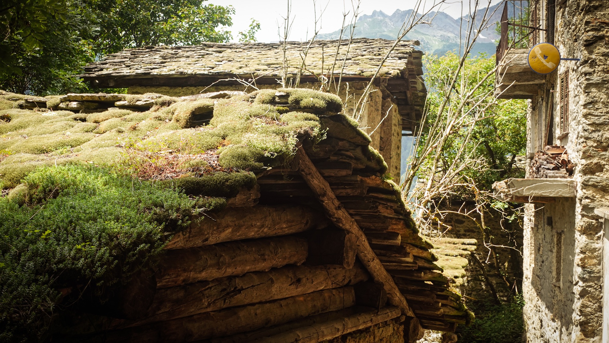 Vermooste Dächer von verlassenen Steinhäusern