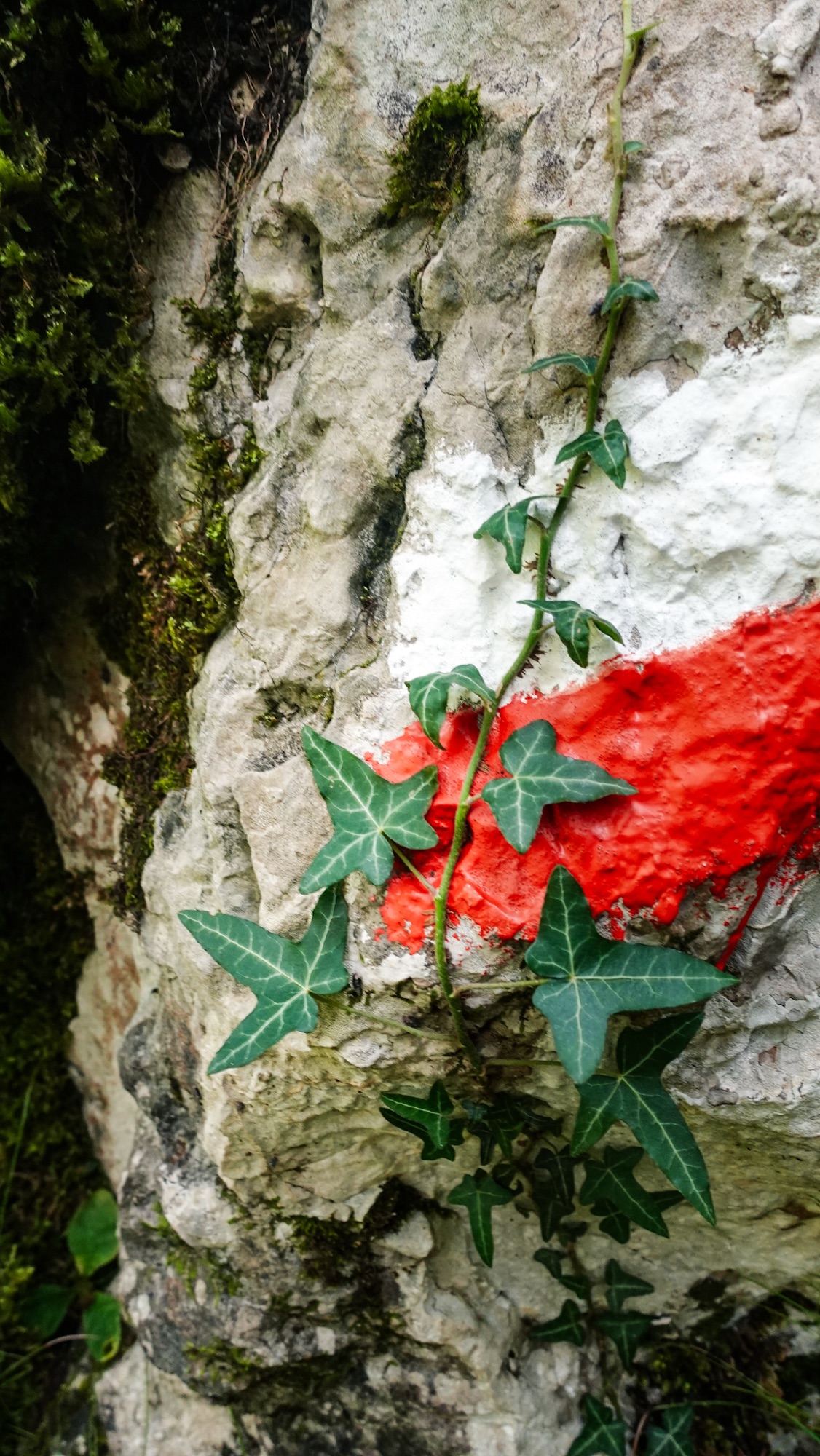 Wegmarkierung zur Cascata di Begna