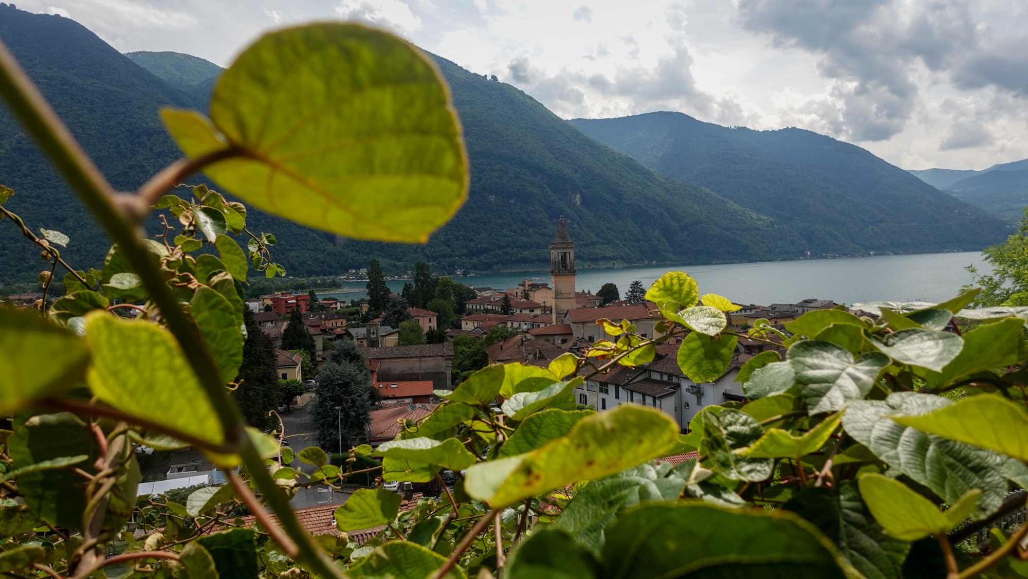 Blick aus den Bergen auf Porlezza, im Vordergrund Kiwis