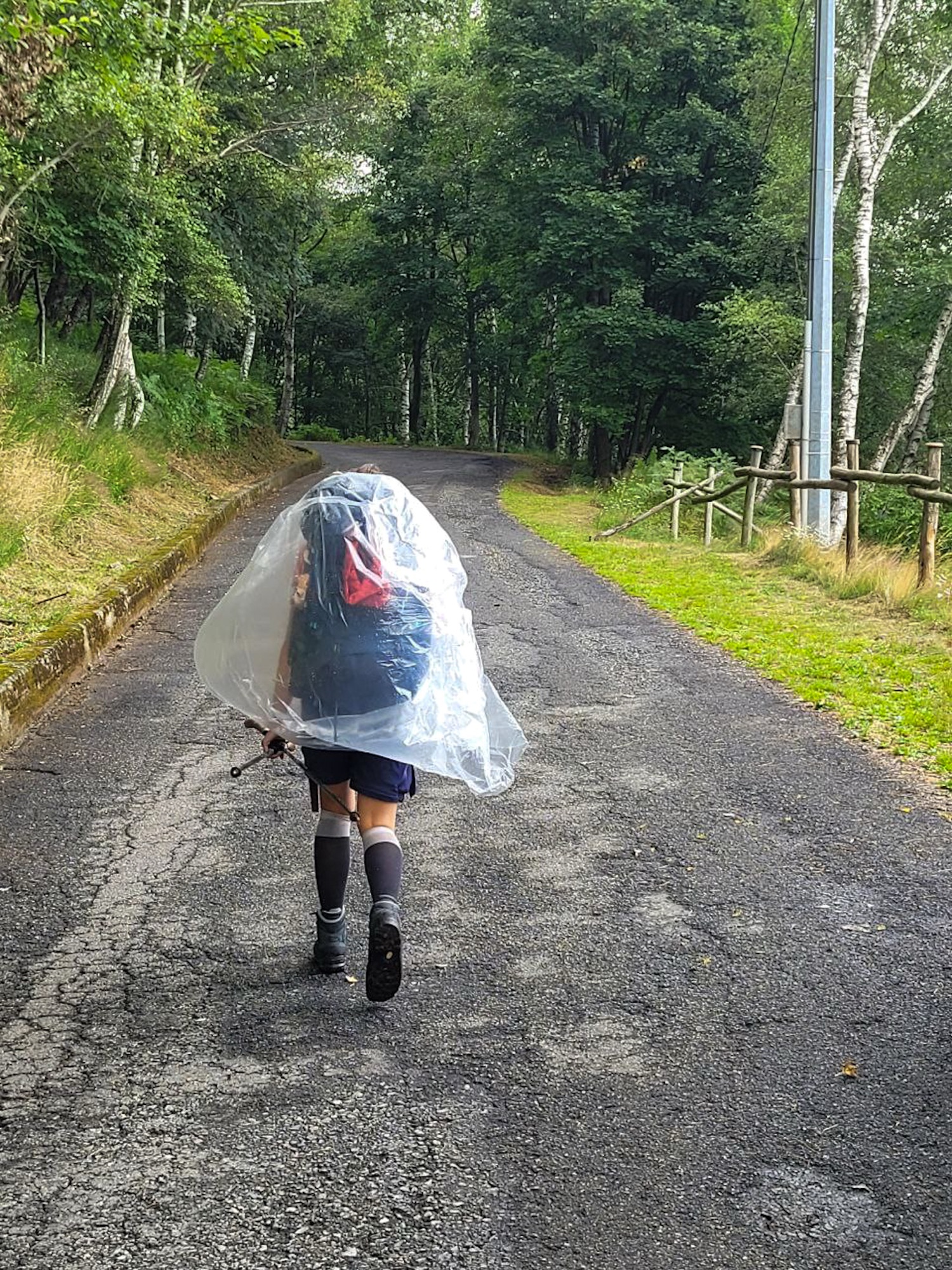 Weiter geht es allein Wanderin