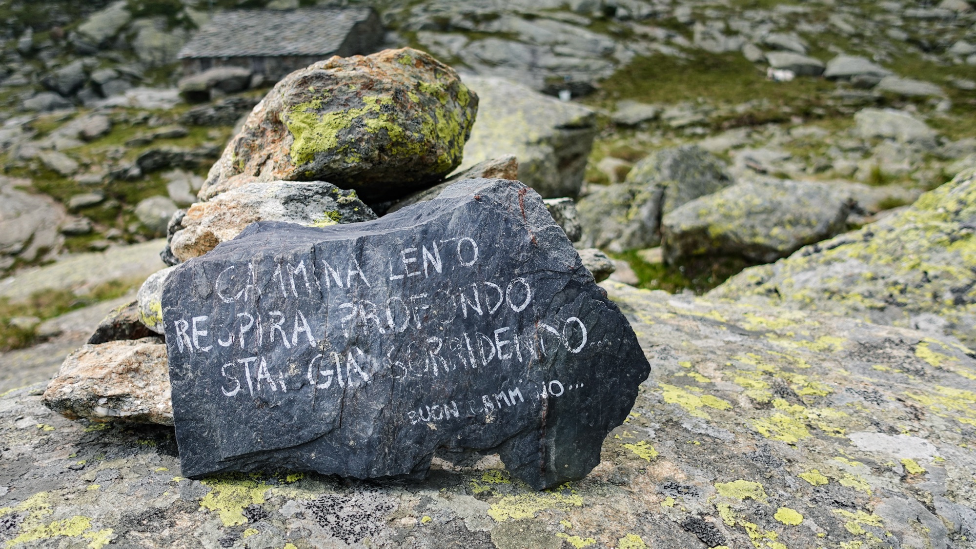 Cammina lento. Respira profondo. Stai già sorridendo.