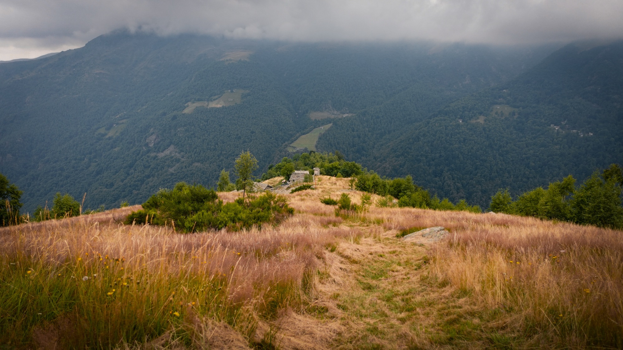 Abstieg nach Succinto