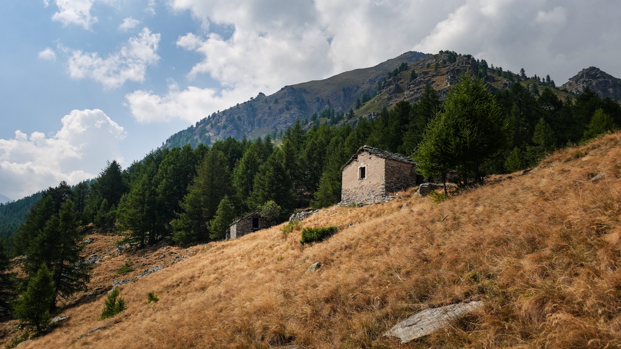Almwiesen im Piemont