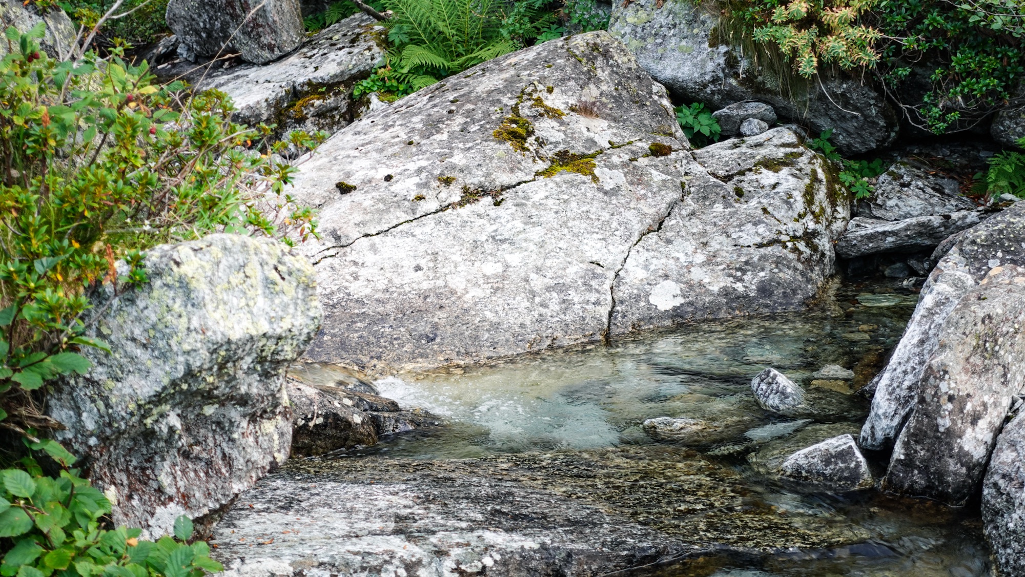 Bäche beim Aufstieg von Pialpetta