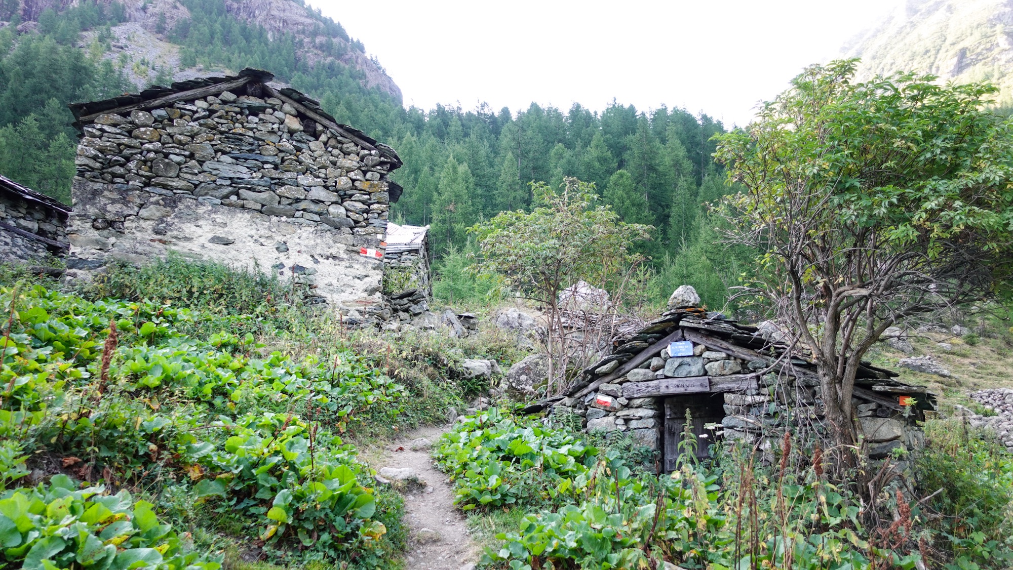 Alpe beim Aufstieg aus Balme
