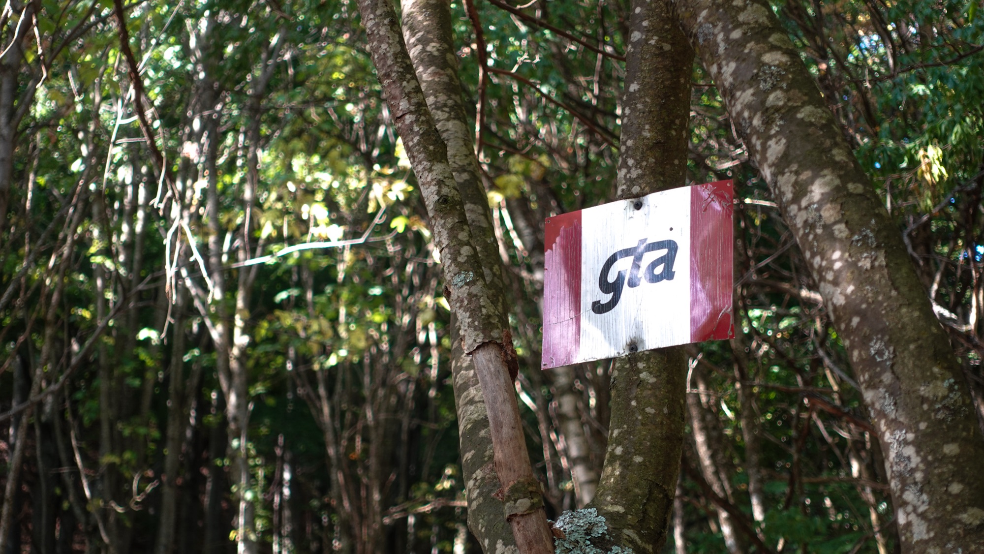 Schild Grande Traversata delle Alpi