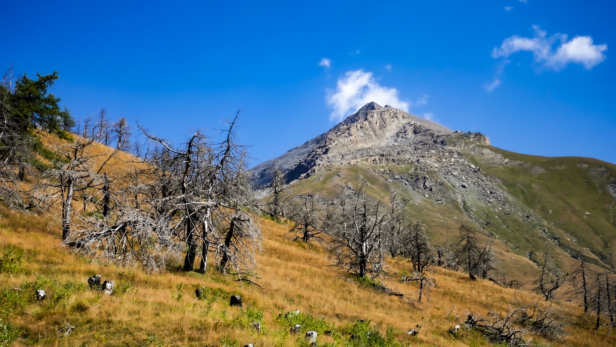Abstieg vom Rocciamelone