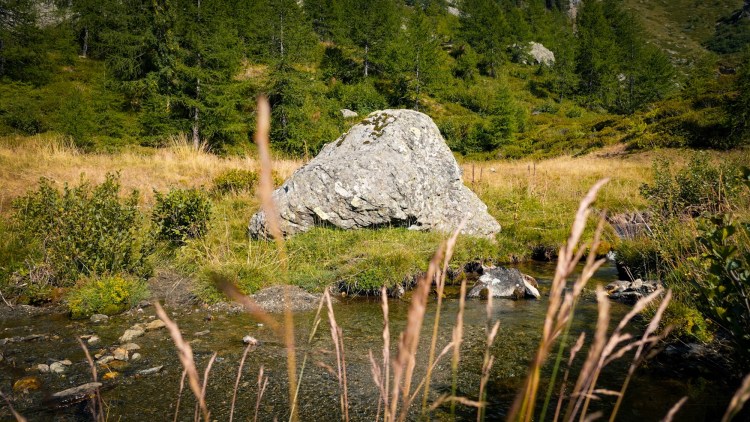 Felsbrocken Gebirgsbach Piemont