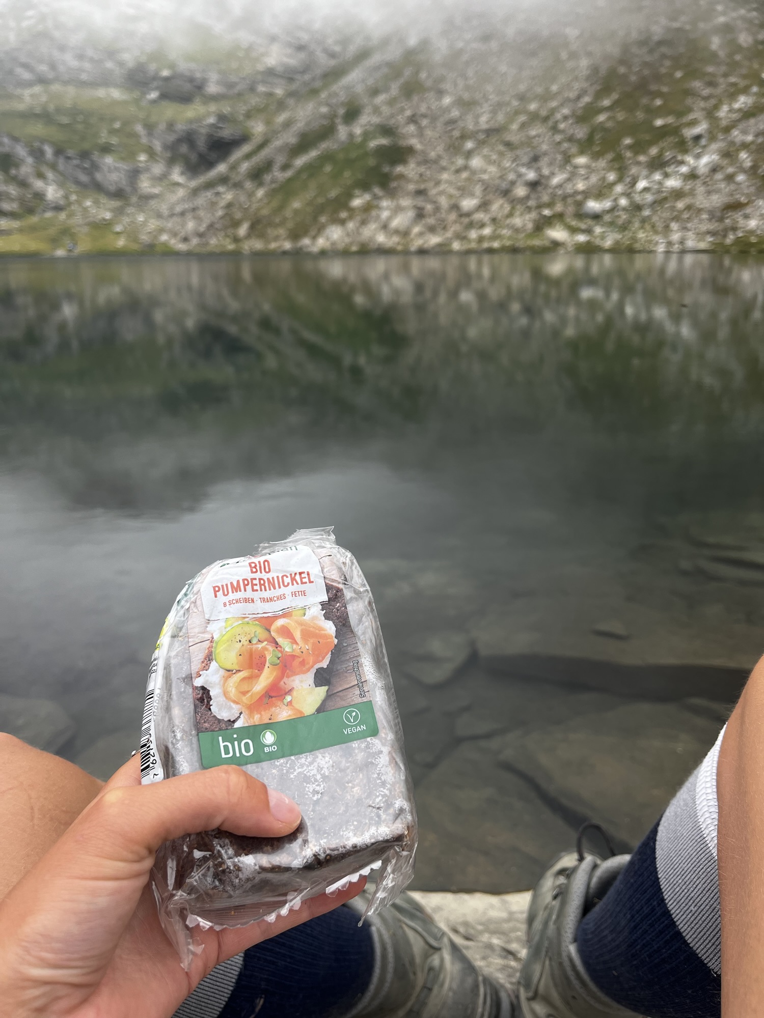 Pumpenickel aus der Schweiz