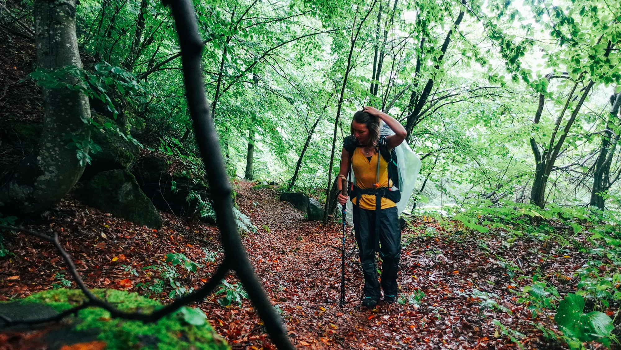 Wanderin im Wald Regen