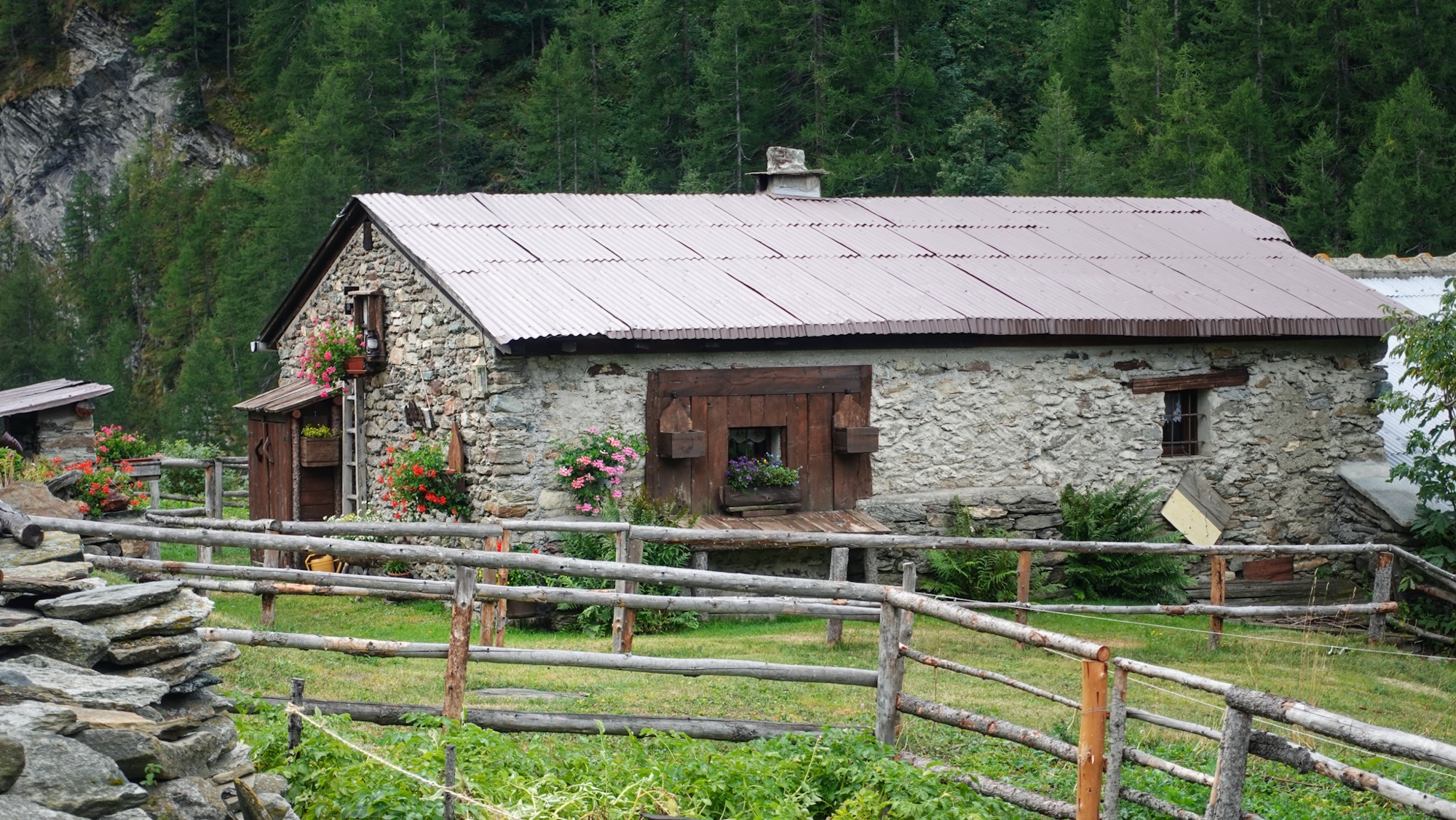 Alpe beim Aufstieg zum Colle Giulian