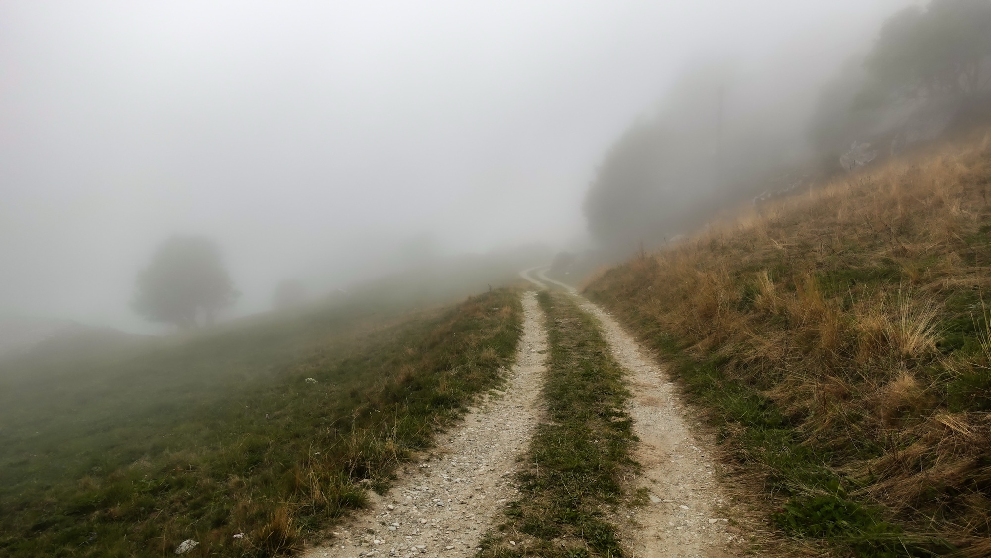Weg Nebel