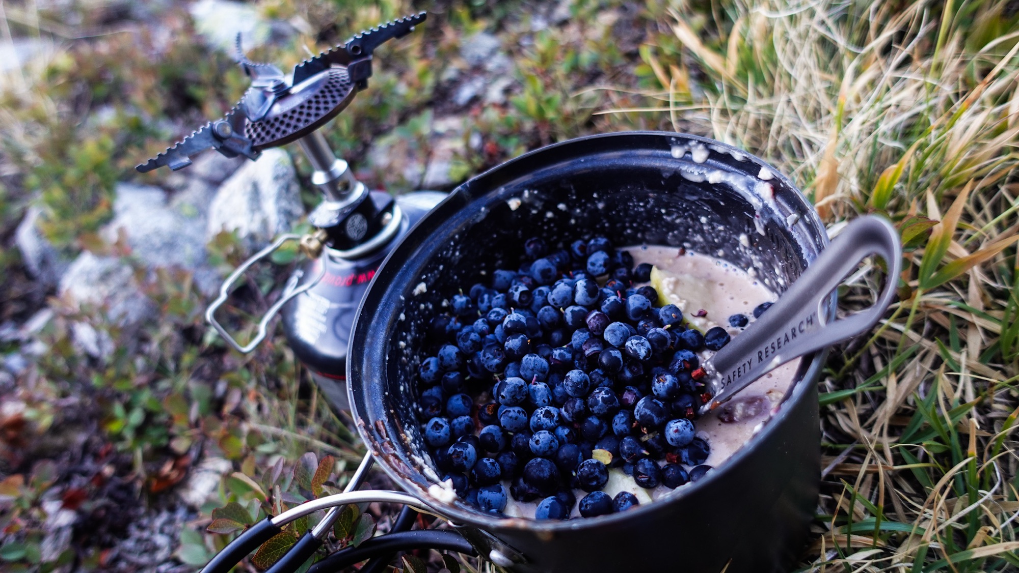 Porridge mit Blaubeeren
